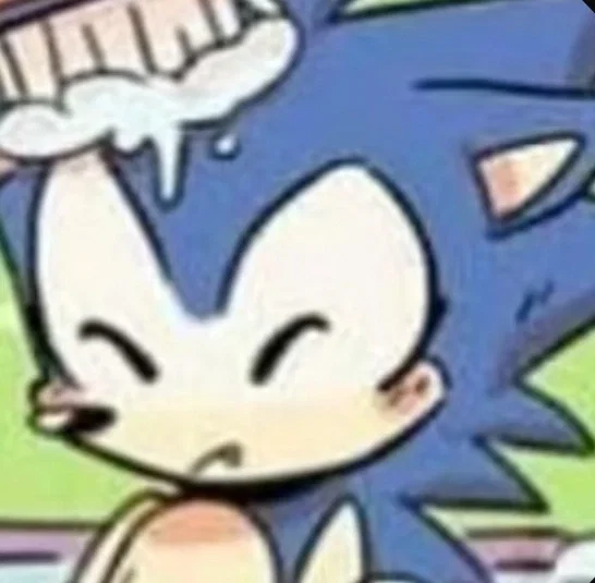 Sonic the pet