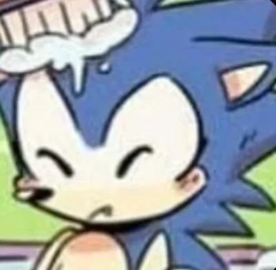 Sonic the pet