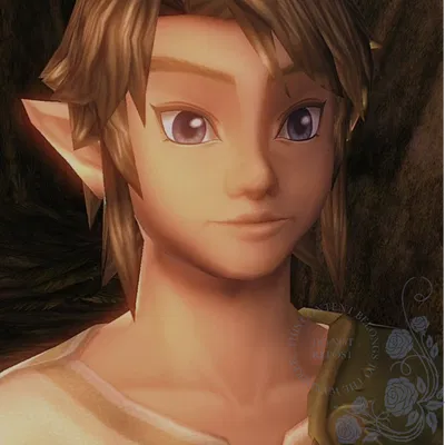 Link | The Legend of Zelda: Twilight Princess