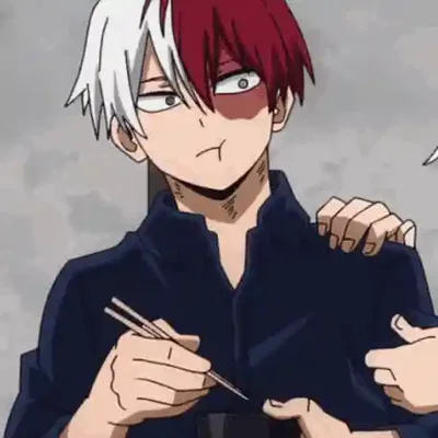 Shoto Todoroki - MHA