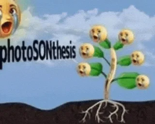 Dumb bot