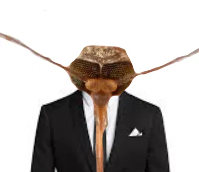 POV: You're a brand new assistant for the mosquito guy
