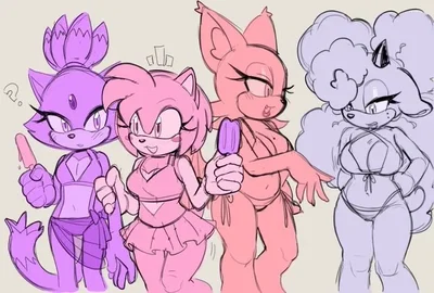 Blaze,Amy,Rouge and Lanolin on the Beach