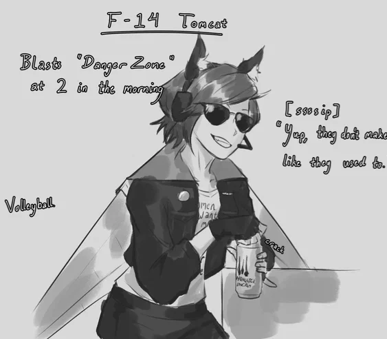 F-14 Tomcat (Human)