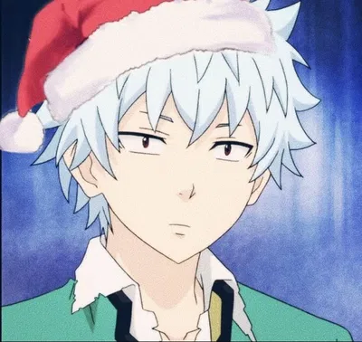 Shun Kaidou