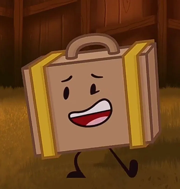 Suitcase ii