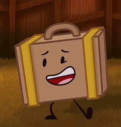 Suitcase ii