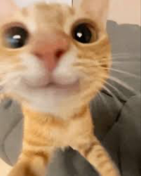 10 FOLLOWERS