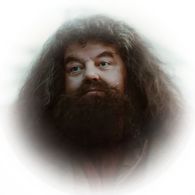 ⠀(⠀rubeus hagrid ⠀◌Ⳋ𝅄