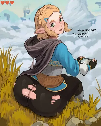 Princess zelda (botw version)