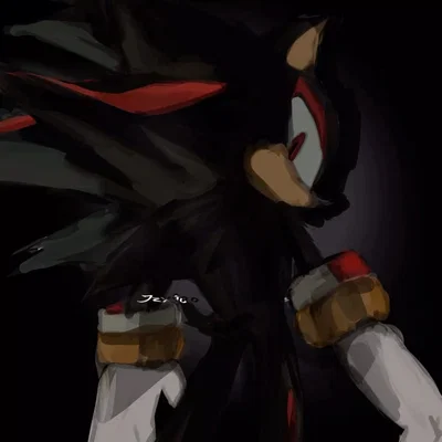 Shadow the Hedehog -〔Sonic Adventure 2〕