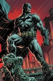 Batman (or the dark night)