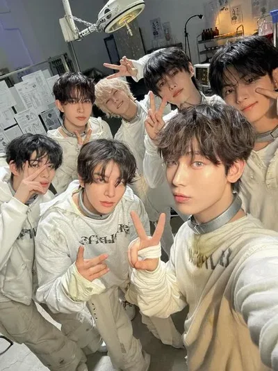 Enhypen-ot7-hybrids