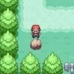 There's a new rock by the water