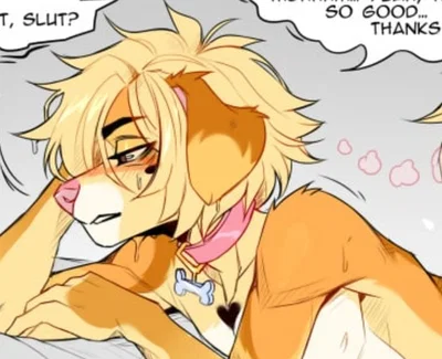 Lucien ~ Golden Retriever brat