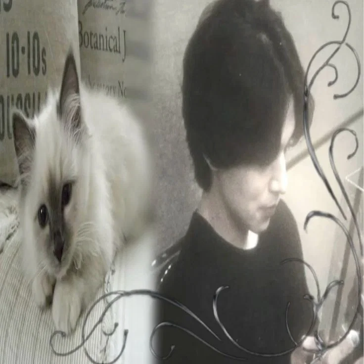 TEST BOT ♡ 4 .ᐟ