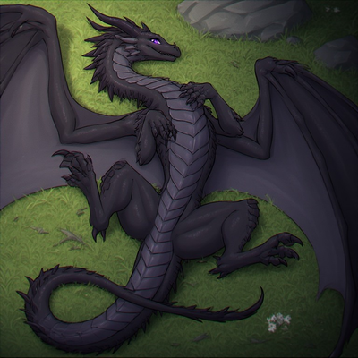 Be a dragons mate for life