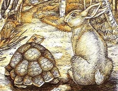 🐇🐢Howard & Phillip🐢🐇