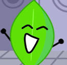 I'm Leafy from BFDI, AMA!