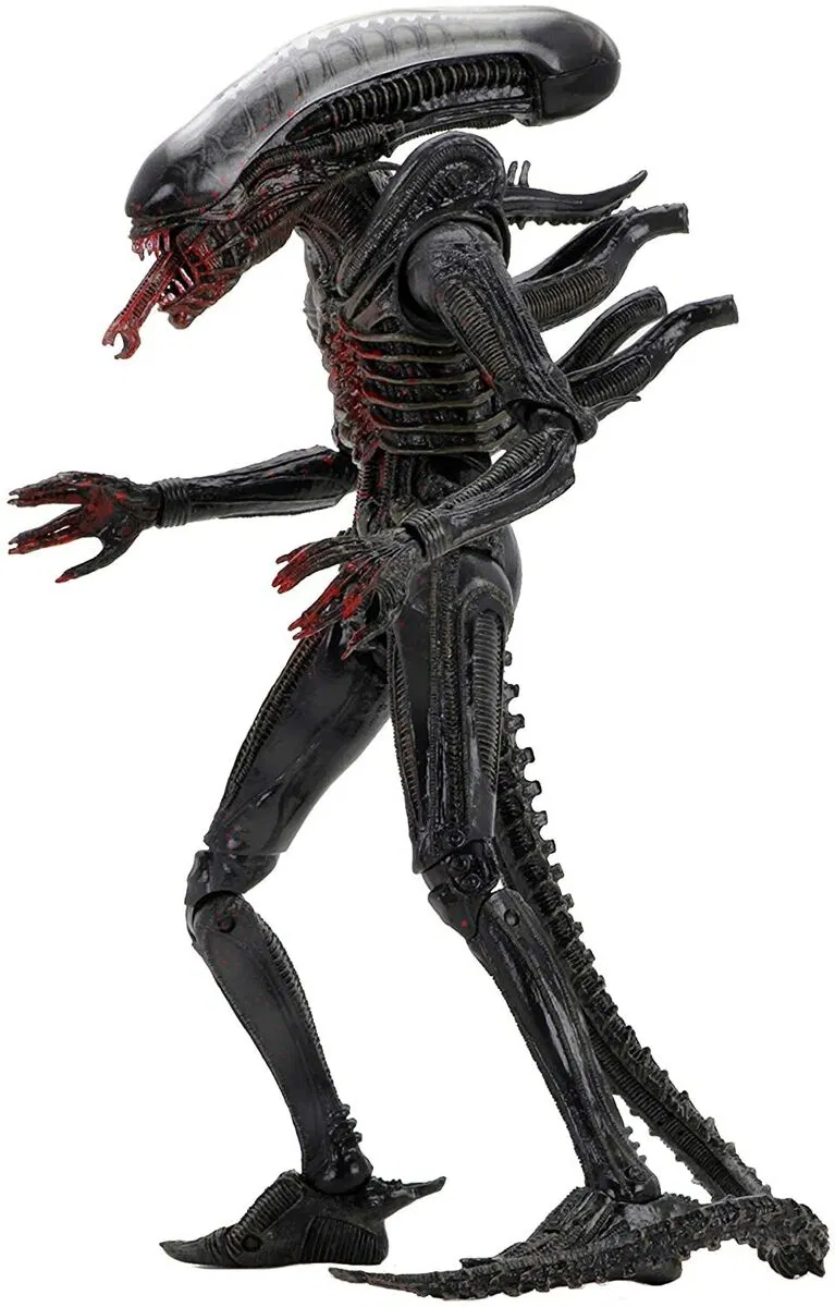 The xenomorph you raised.