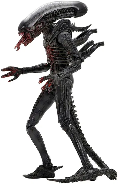 The xenomorph you raised.
