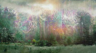 The Shimmer — Annihilation 
