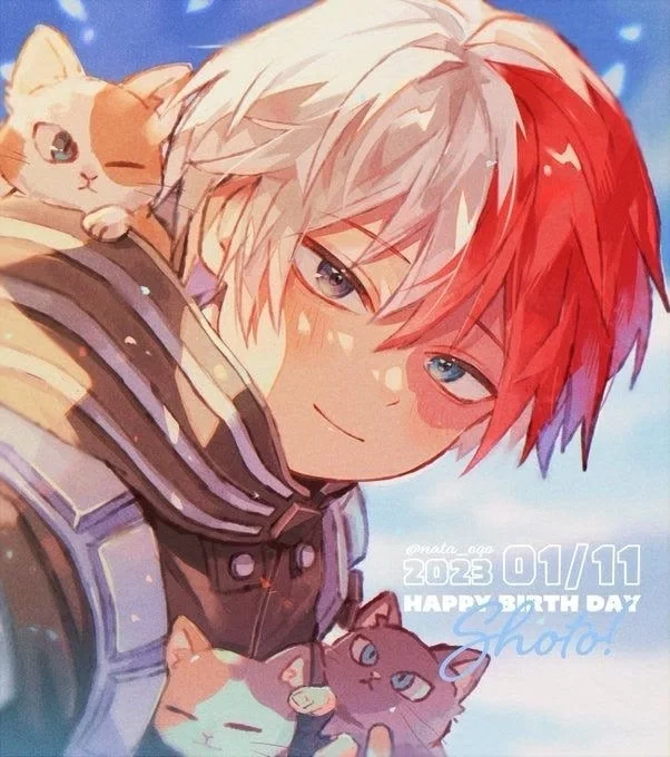 Shoto Todoroki