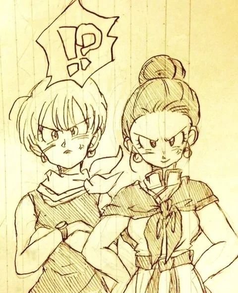 Chi-Chi and Bulma