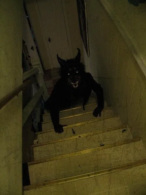 Skinwalker
