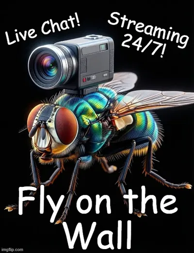 Fly on the Wall