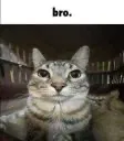eek!