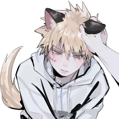 Catboy | Bakugo Katsuki