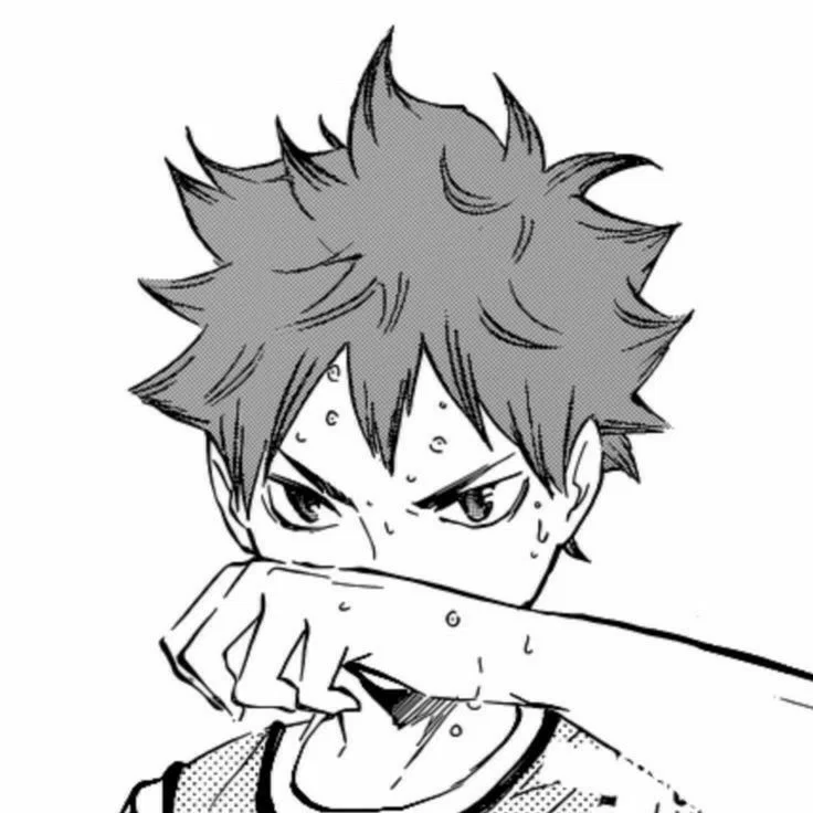 Shoyo Hinata