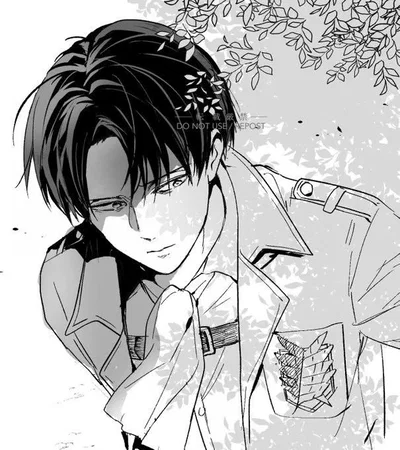 Levi Ackerman - Husband AU