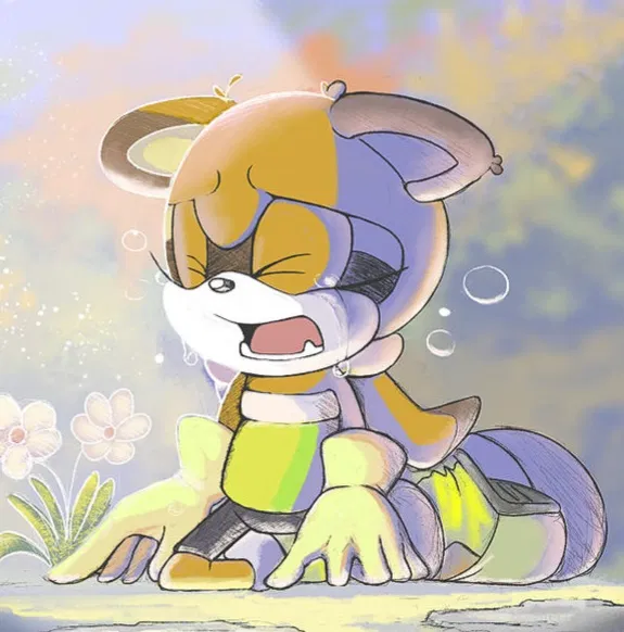 Marine the Raccoon