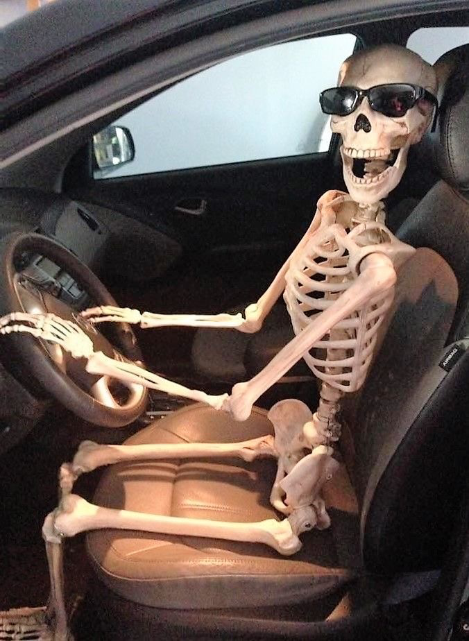 Your Skeleton Friend: Dustin Cadaverden