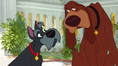 Jock and Trusty