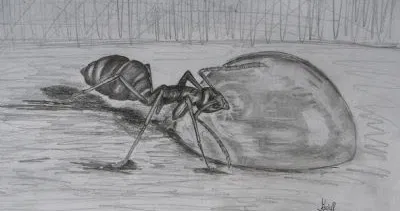 insect apocalypse