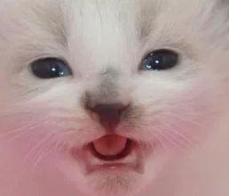 the face of despair