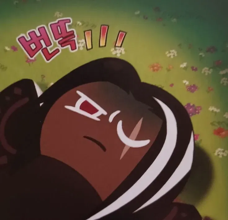 Dark Choco Cookie