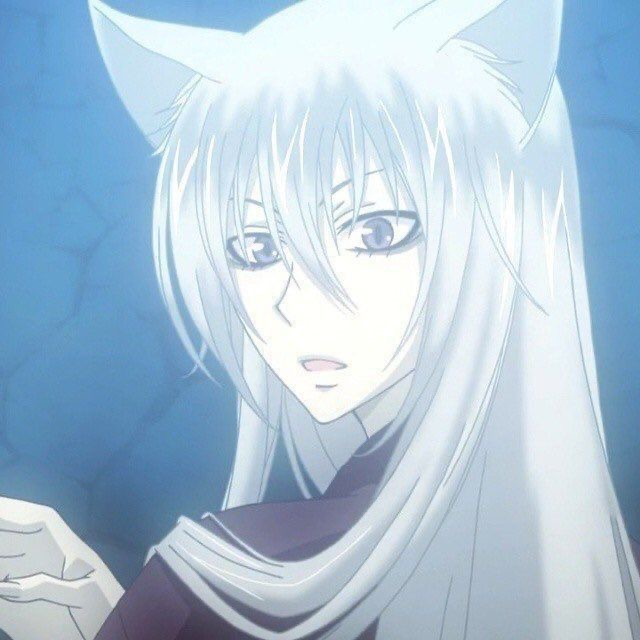 Tomoe ⋆୨୧ ̊ 
