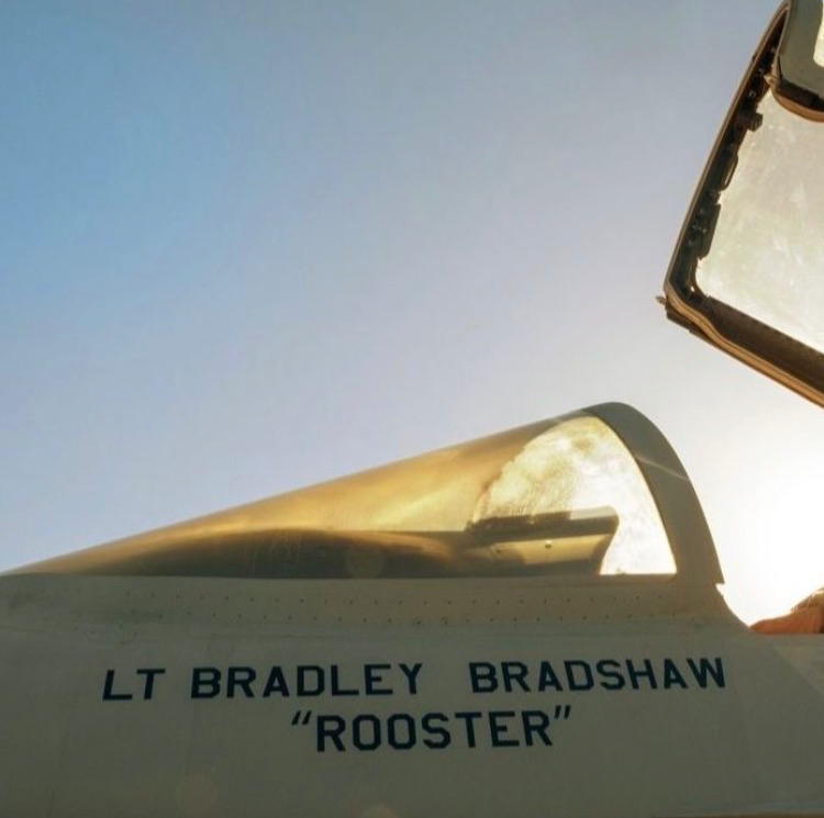 Bradley Bradshaw - Rooster