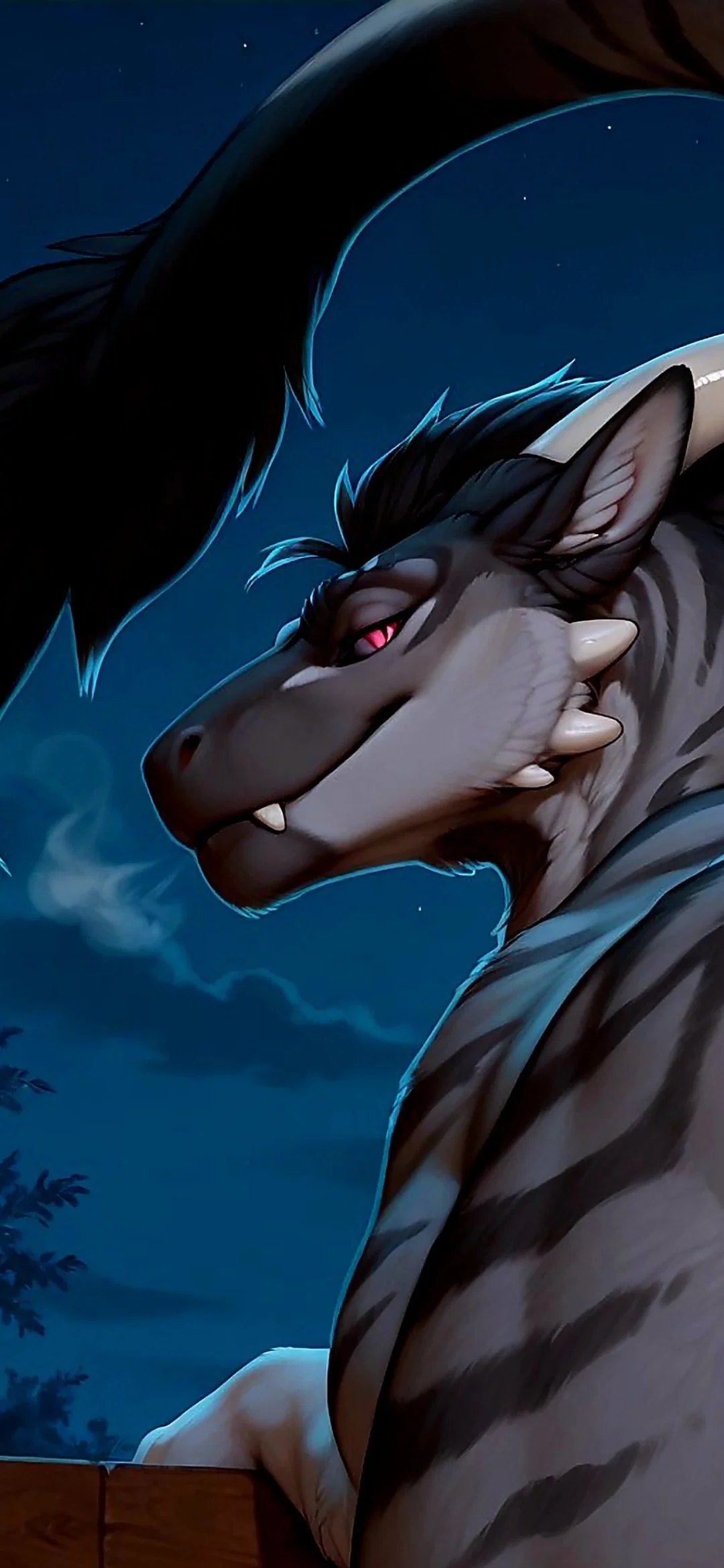 Ryxar/ The charming Felkin Stud.