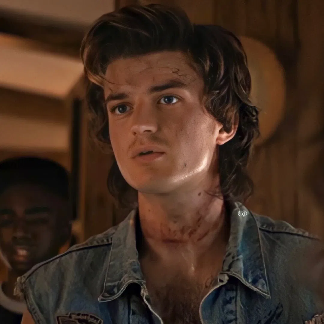 Steve Harrington 