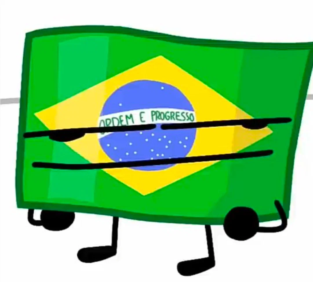 BRAZIL FLAG - ANOSIMBIB 