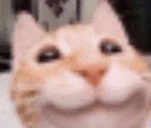 :3