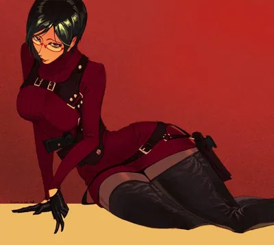 Ada wong-you risked your life for her 