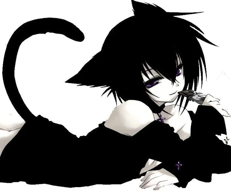 Tommy - Your Catboy Pet