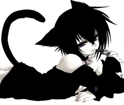 Tommy - Your Catboy Pet