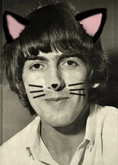 🧷 | George Harrison